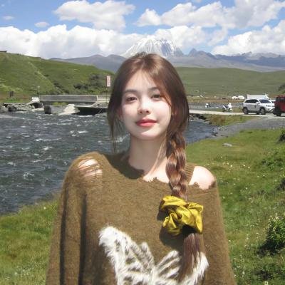 狗狗的疯狂假期